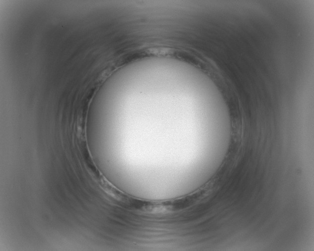 X0000082930553200702011049