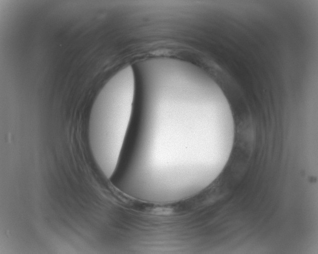 X0000082930554200702011049