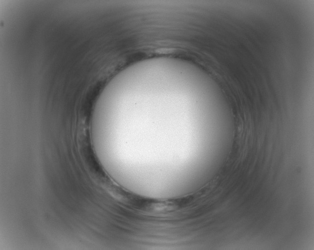 X0000082930555200702011049