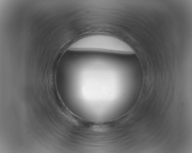 X0000082930556200702011049