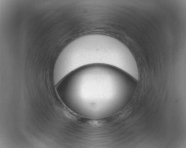 X0000082930558200702011049