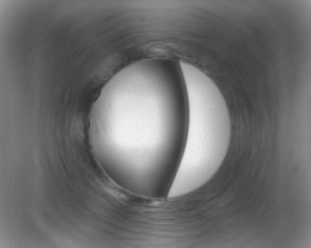 X0000082930562200702011049