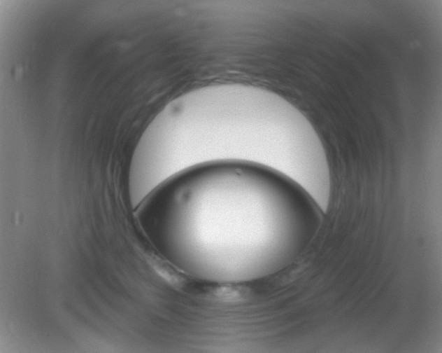 X0000082930566200702011049