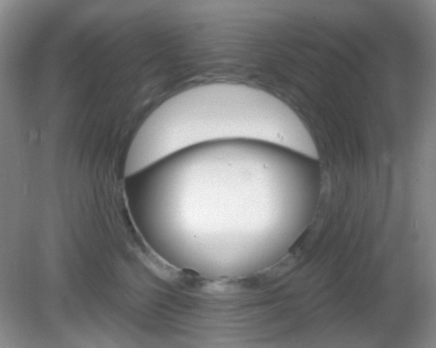 X0000082930568200702011049