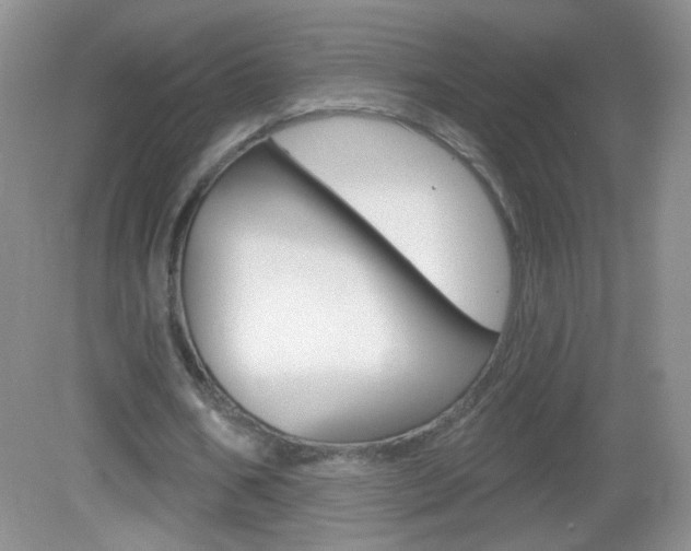X0000082930578200702011048