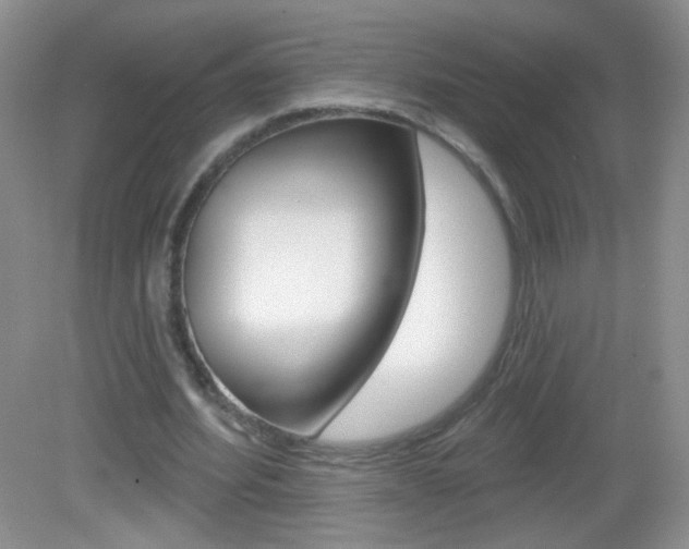 X0000082930580200702011048