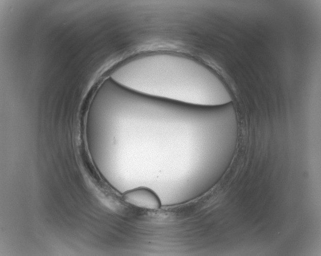 X0000082930582200702011048