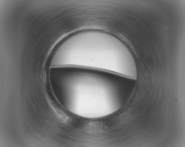 X0000082930584200702011048