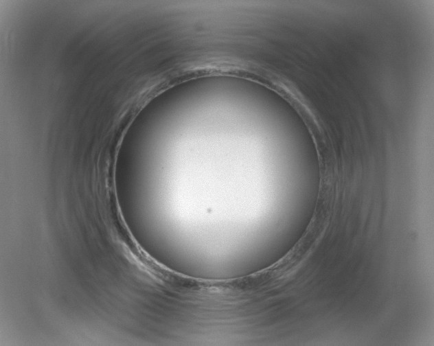 X0000082930585200702011048