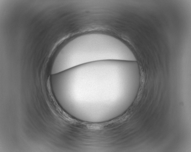 X0000082930587200702011048