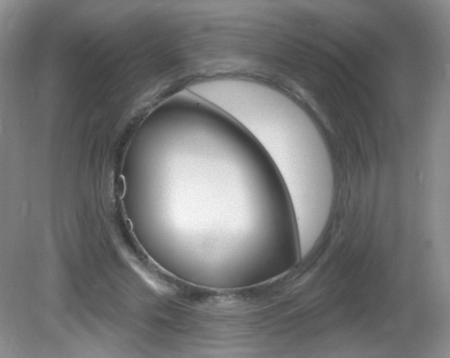 X0000082930589200702011048