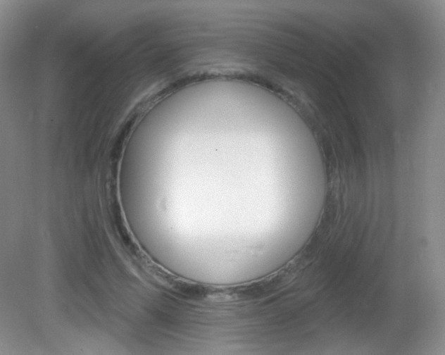 X0000082930591200702011048