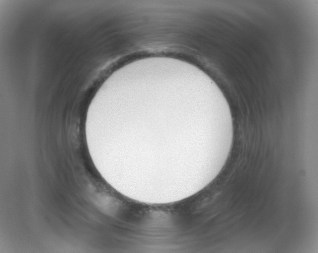 X0000082930592200702011048