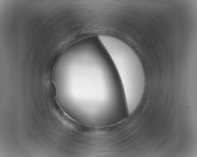 X0000082930593200702011048