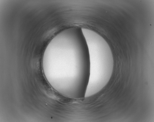 X0000082930595200702011048