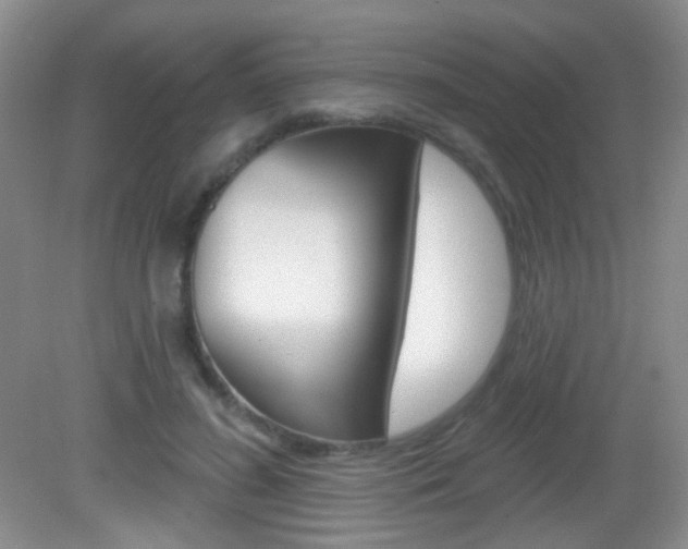 X0000082930596200702011048