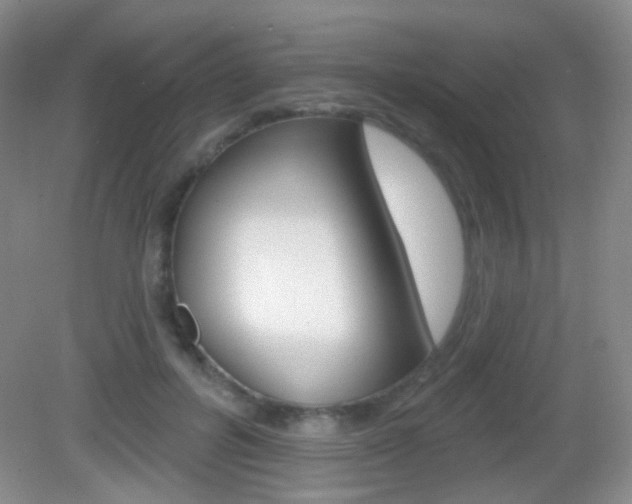 X0000082930600200702011048
