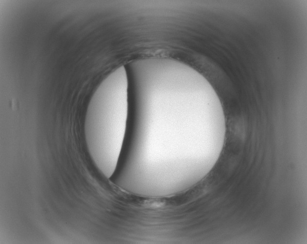 X0000082930602200702011048