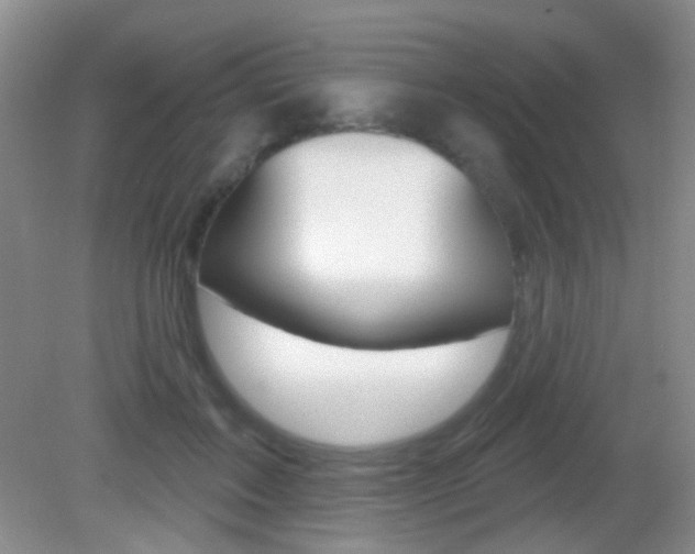 X0000082930603200702011048