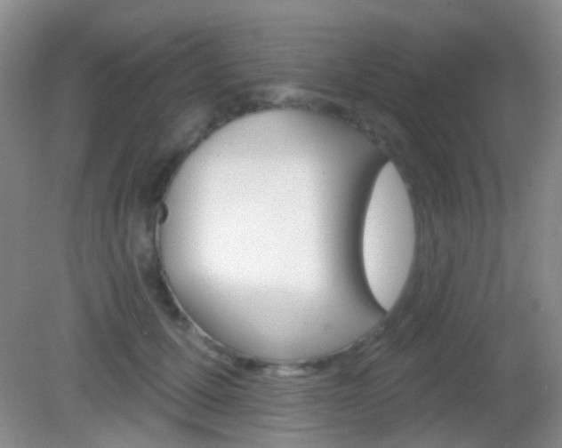 X0000082930607200702011048