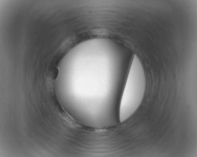 X0000082930609200702011048