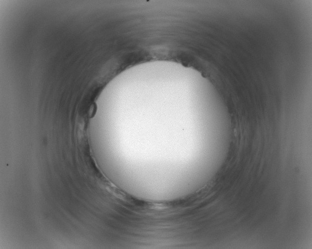 X0000082930610200702011048