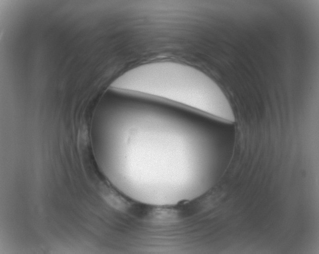 X0000082930617200702011048