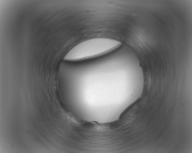 X0000082930619200702011048