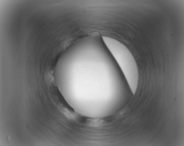 X0000082930621200702011048