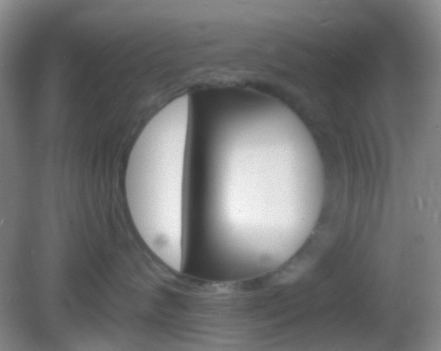 X0000082930624200702011048