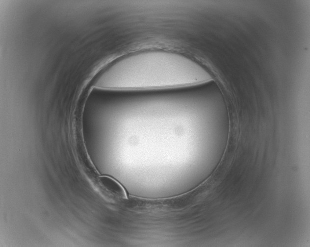 X0000082930626200702011047