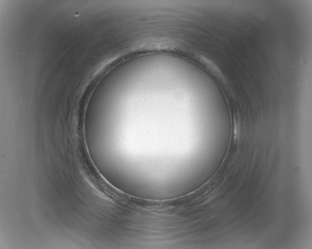 X0000082930627200702011047