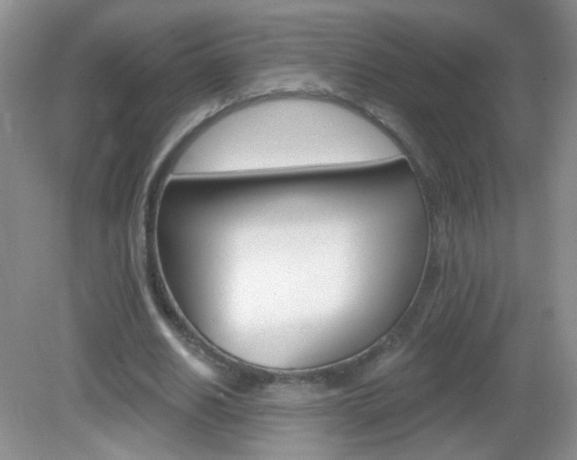 X0000082930630200702011047