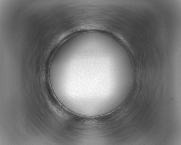 X0000082930631200702011047