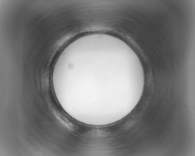 X0000082930632200702011047