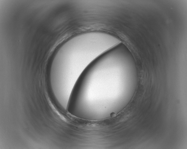 X0000082930634200702011047