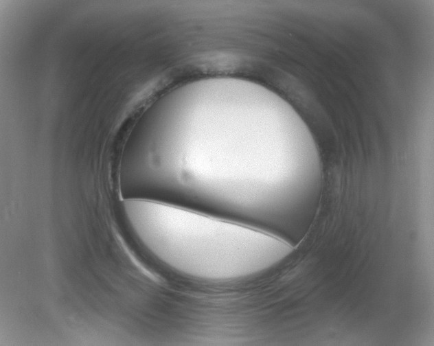 X0000082930638200702011047