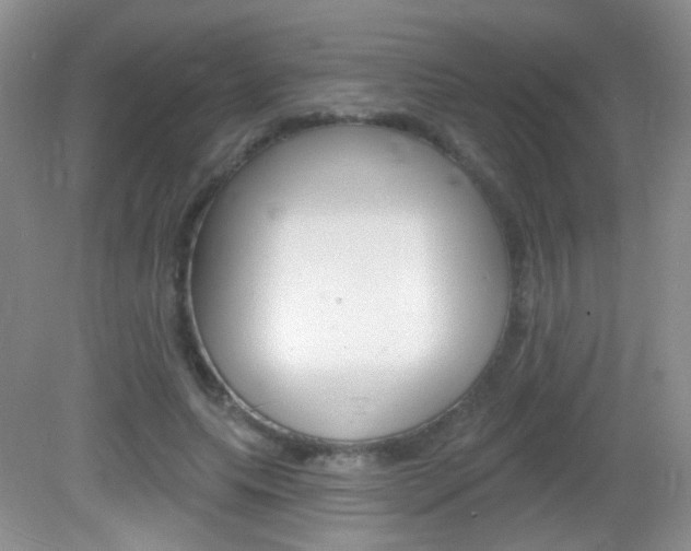 X0000082930639200702011047