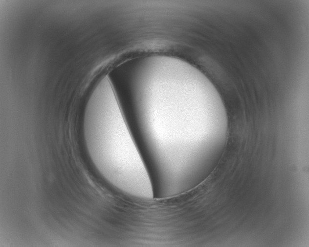 X0000082930640200702011047
