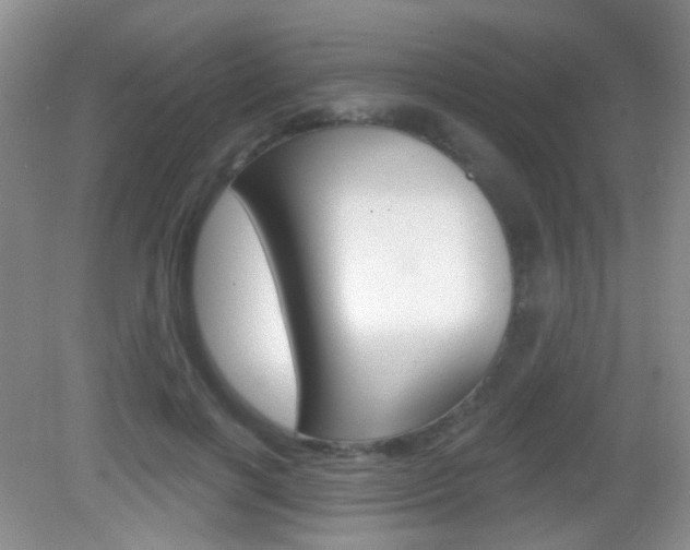 X0000082930646200702011047