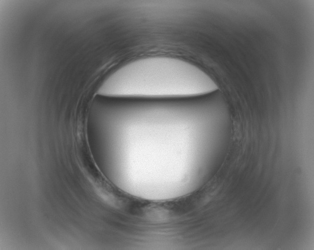 X0000082930648200702011047