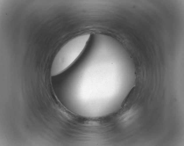 X0000082930649200702011047