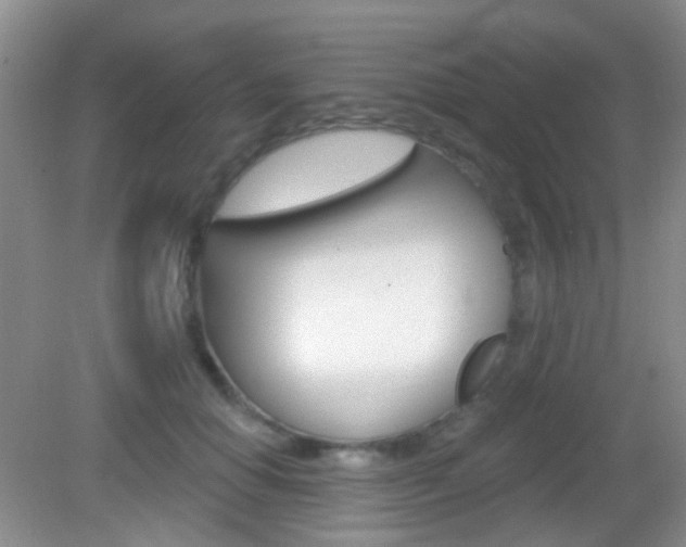 X0000082930654200702011047