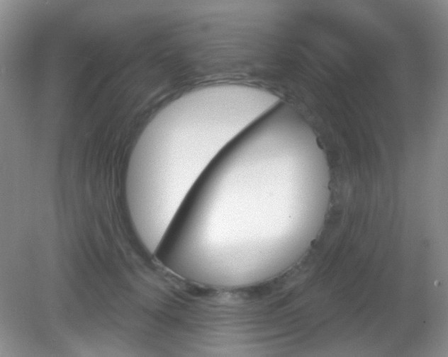 X0000082930656200702011047