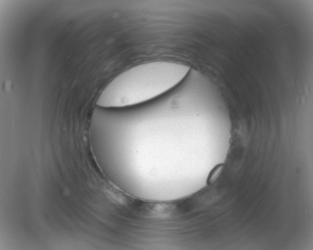 X0000082930663200702011047