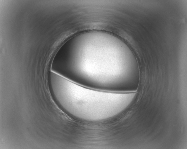 X0000082930673200702011047