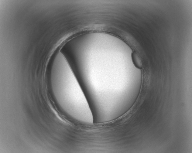 X0000082930674200702011047