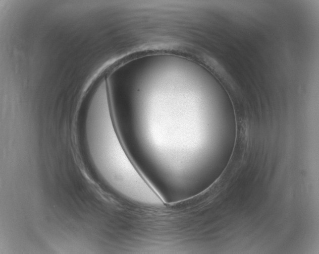 X0000082930676200702011047