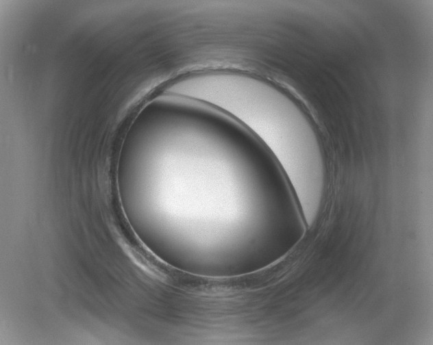 X0000082930677200702011047