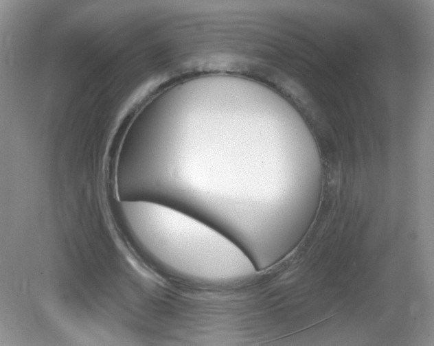 X0000082930678200702011047